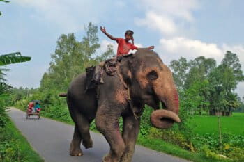 A teenage mahout and his elephant in Bogura, Bangladesh.