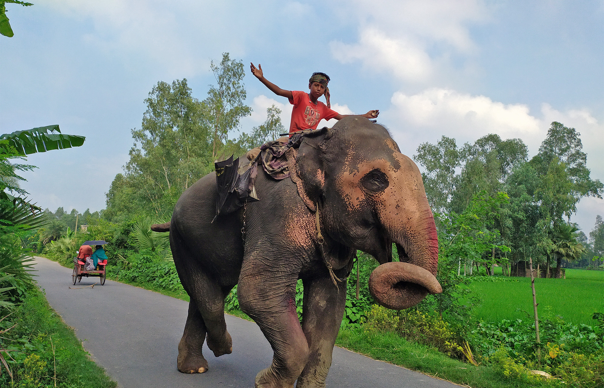 A teenage mahout and his elephant in Bogura, Bangladesh.