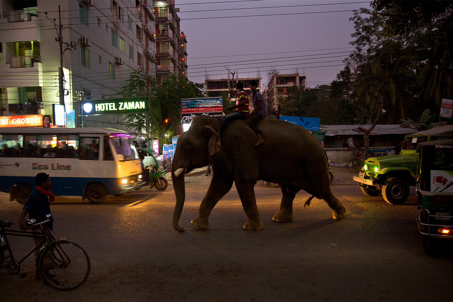 An elephant walks through a street amid traffic in Cox's Bazar, 2018.