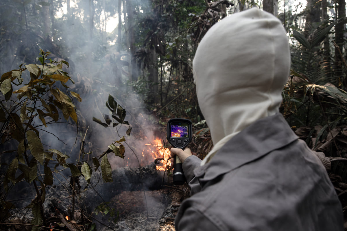 Heat surges put preserved Amazon areas at high risk, study says