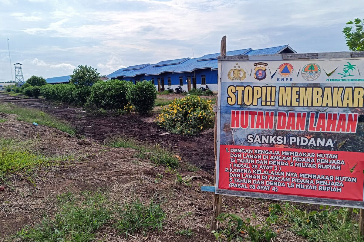 The main office of PT Kalimantan Lestari Mandiri in Kalumpang Village, Mantangai District, Kapuas Regency, Central Kalimantan Province. I