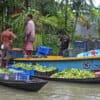 Farmers gather at Bhimruli guava market for selling their produces.