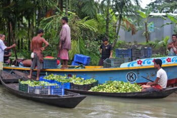 Farmers gather at Bhimruli guava market for selling their produces.