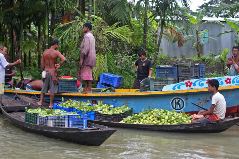 Farmers gather at Bhimruli guava market for selling their produces.