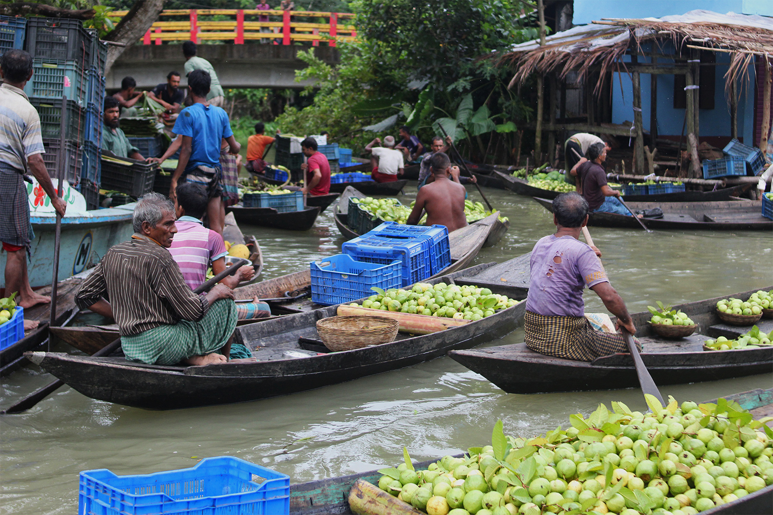 Farmers gather at Bhimruli guava market to sell their produce.