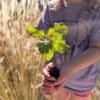Girl with a seedling in Northern California. Image by Rhett Ayers Butler