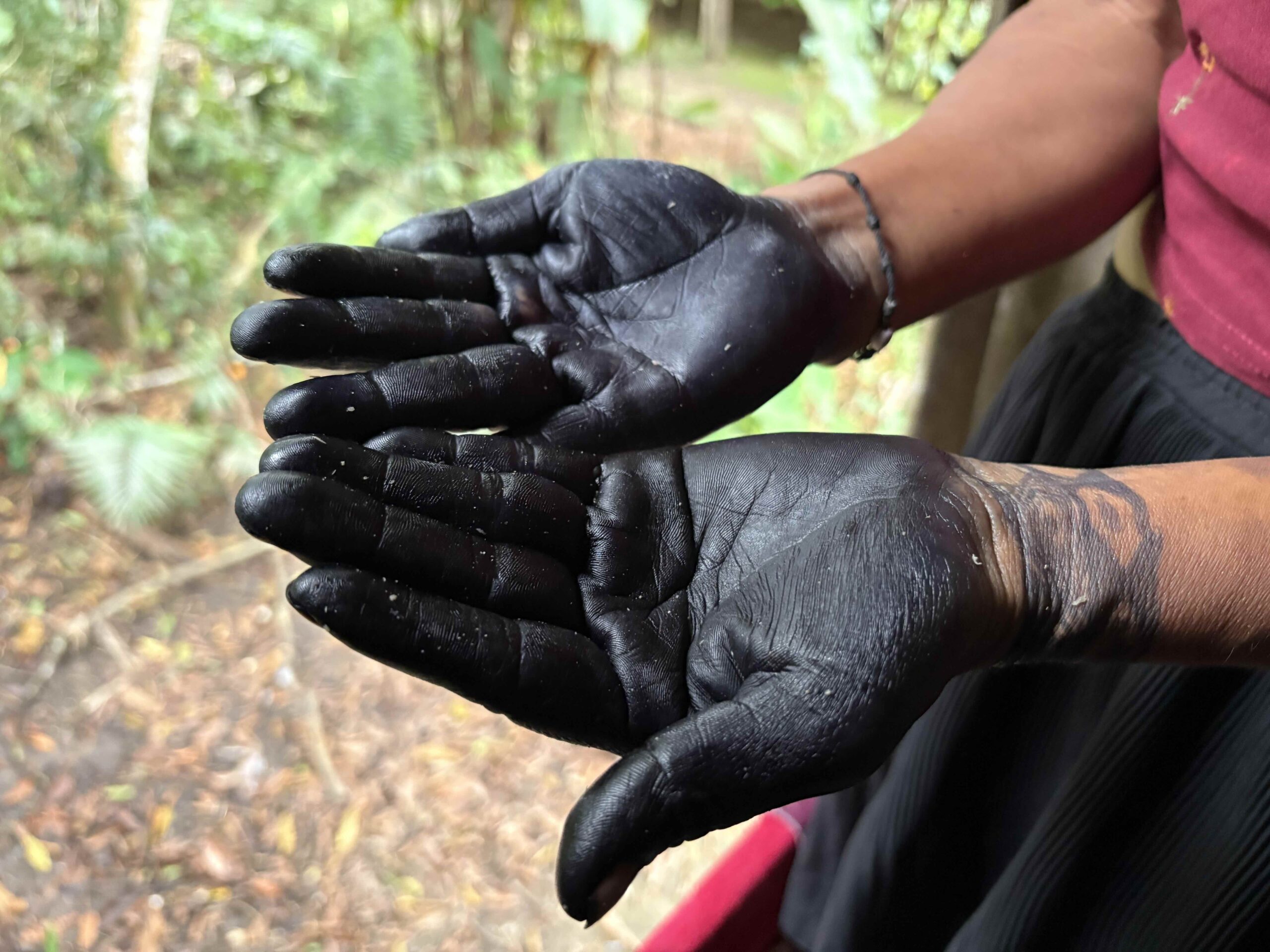 Alicia Tapuy's hands are stained black from wituk ink. Image by Brandi Morin.