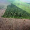 Clearing of peat forest in Indonesia's Riau Province. Photo by Rhett Ayers Butler