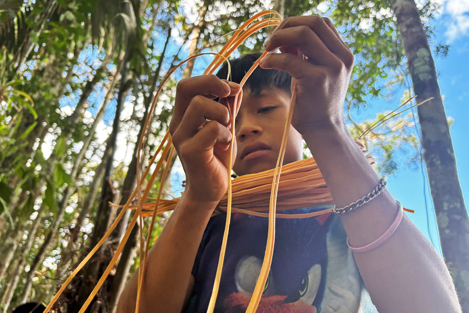 A youth harvests strips of wood from the jungle that will be used for basket making.