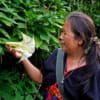 Noraeri Thungmueangthong is a village leader in Huay Ee Khang village in northern Thailand.