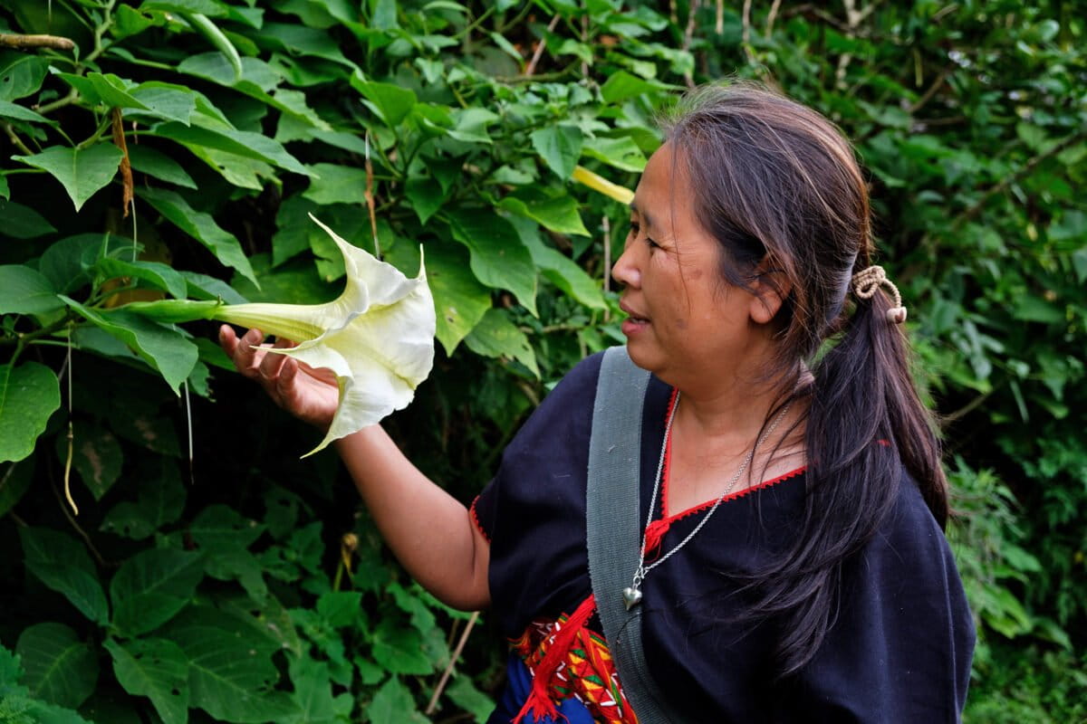 Forest sanctuaries and spiritual balance in the Karen highlands of Thailand