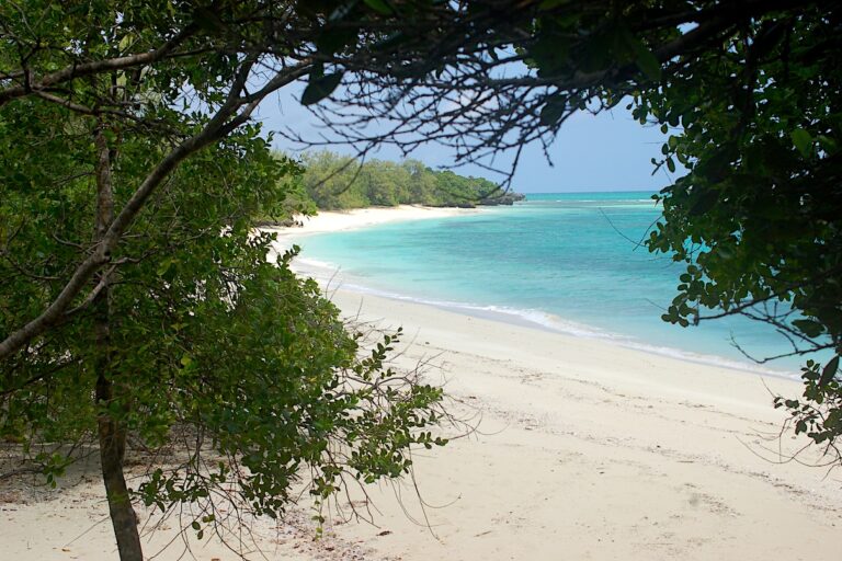 One of the last nesting beaches of green sea turtles and extremely rare leatherback turtles on Misali, the most likely site for a new hotel complex. Image by Tim Caro.