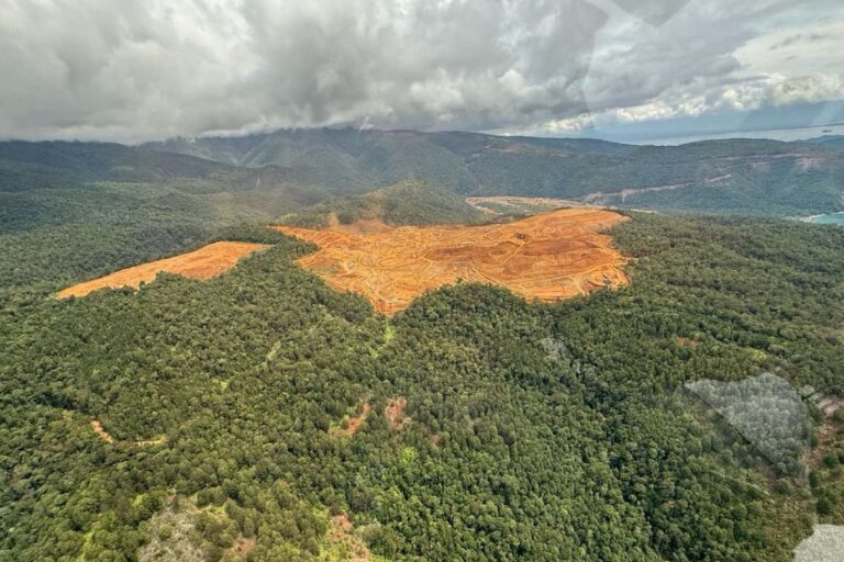 The Pujada Nickel Mining Project leaves an open-wide brown pit, sandwiched between the Mount Hamiguitan Range Wildlife Sanctuary and Pujada Bay.