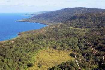 Christmas Island, Australia. Image by David Stanley via Wikimedia Commons (CC BY 2.0)