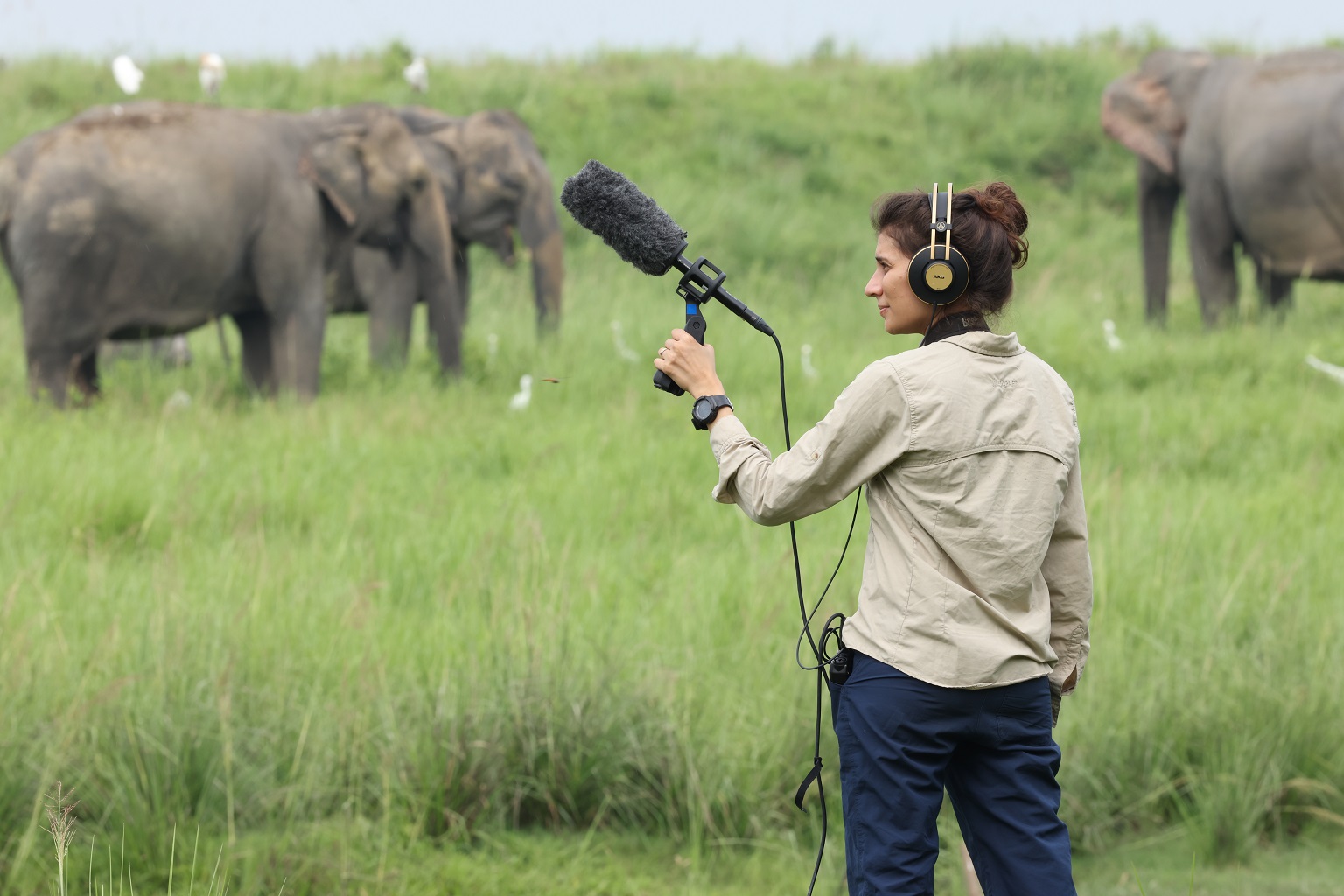 Seema Lokhandwala in Kaziranga National Park, recording elephant calls. For nearly a decade, she has worked in the landscape and witnessed the impacts of human-elephant conflicts in the region.