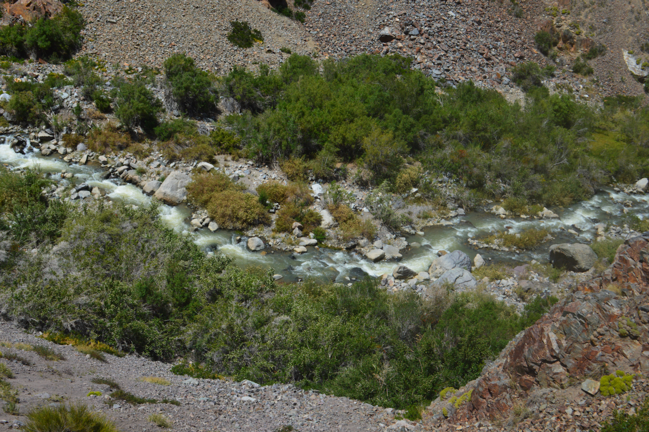 The Rocín River forms part of a vital water network that feeds Andean wetlands, lagoons, estuaries and rivers in the upper reaches of the Putaendo River Basin. Image courtesy of Arón Cádiz-Véliz.