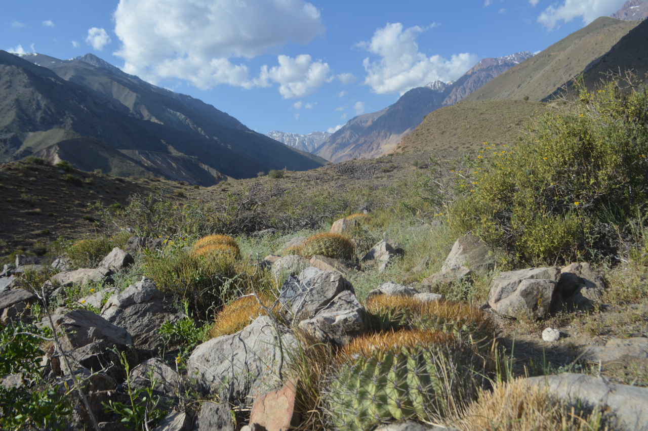 The Antuco Sector, a natural area in the commune, where the Río Rocín and other rivers, waterfalls and lagoons are found. Image courtesy of Arón Cádiz-Véliz.