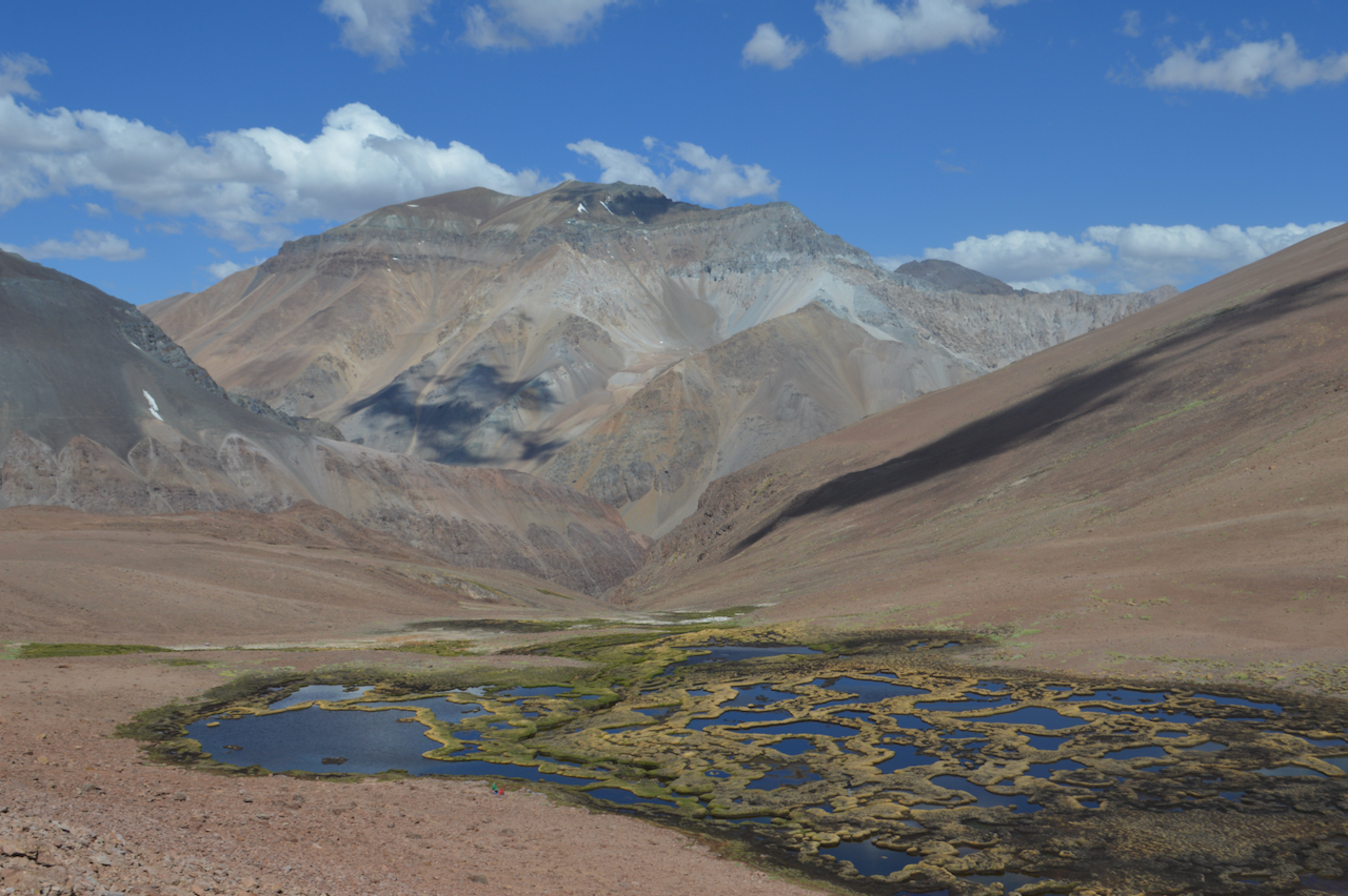 Wetlands below the Putaendo mountain range in central Chile. Image courtesy of Arón Cádiz-Véliz.