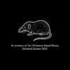 Christmas Island shrew