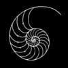 A representation of a bisected nautilus.
