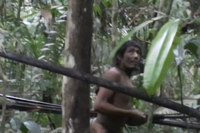This blurred image resulted from a chance encounter with a Brazilian government official. It shows one of the last of the Kawahiva Indigenous group, living near the Rio Pardo in Mato Grosso state, Brazil. Today, they are forced to live on the run from armed loggers.