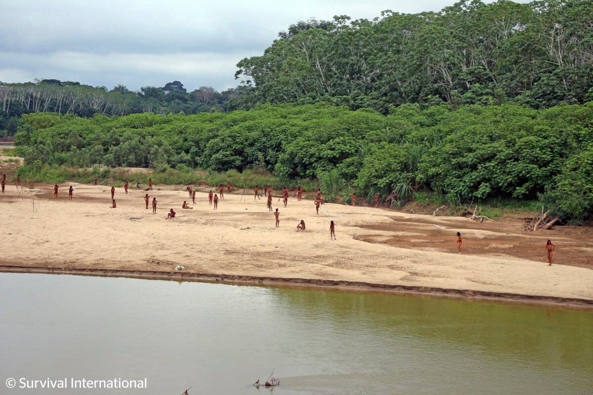 Report urges full protection of world’s 196 uncontacted Indigenous peoples