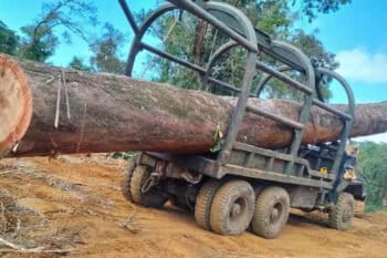 Logging in western Cambodia. Image anonymously provided to Mongabay.