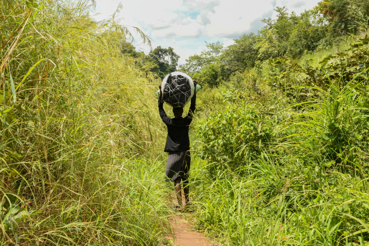 Carrying sacks of charcoal out of the Luku forest reserve, Uganda. Image by Musunguzi Blanshe for Mongabay.
