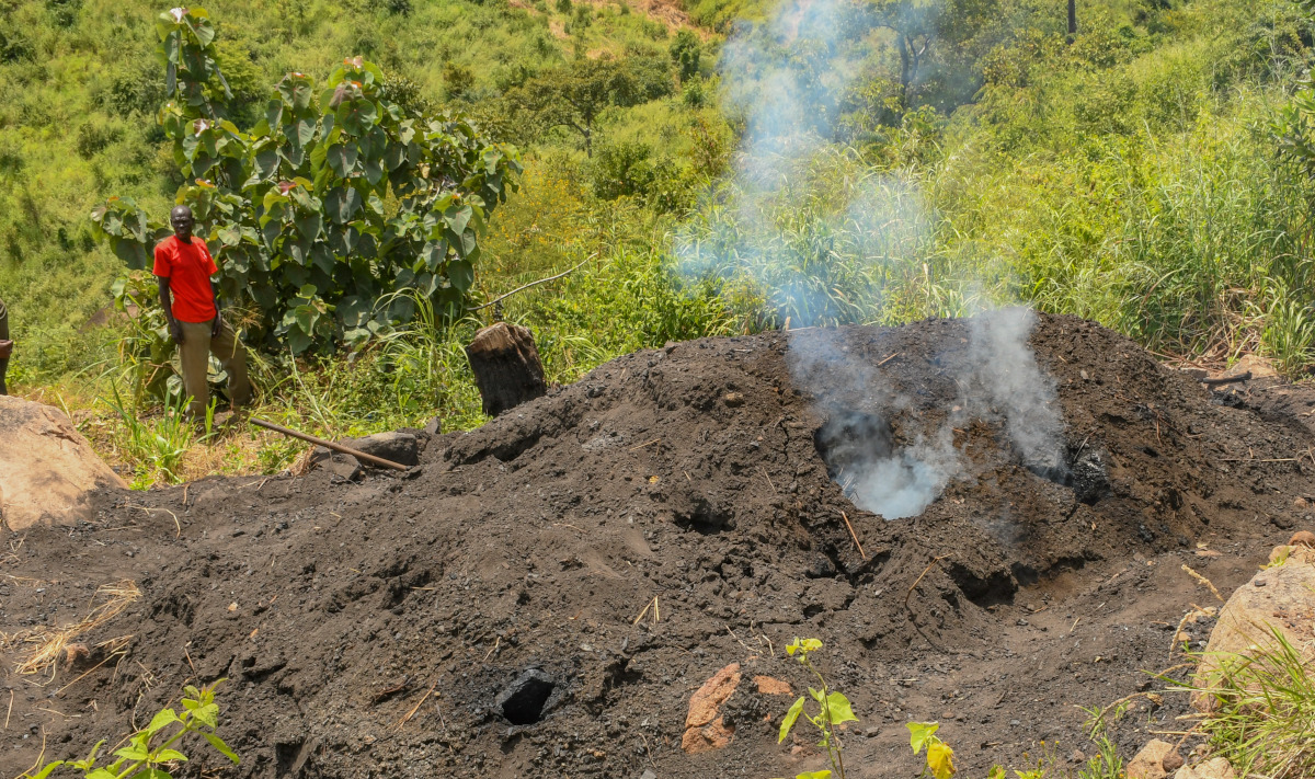 Producing charcoal in a basic kiln. Luku forest reserve, Uganda. Image by Musunguzi Blanshe for Mongabay.