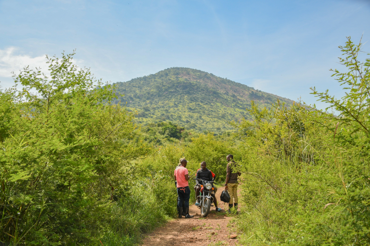 Inside the Luku forest reserve, Uganda. Image by Musunguzi Blanshe for Mongabay.