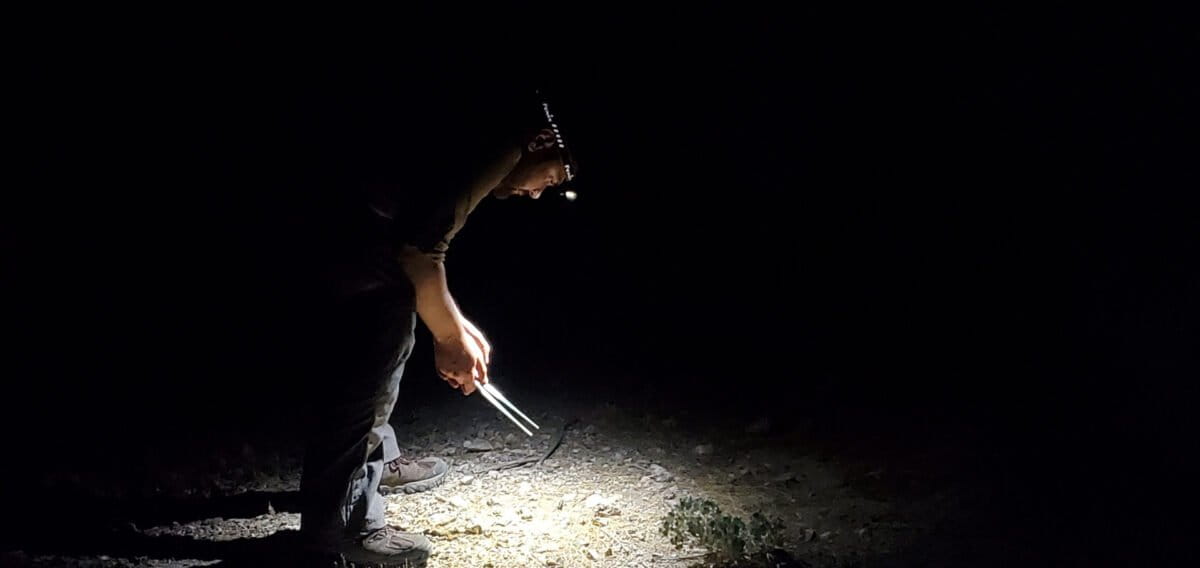 Austin hand collecting beetles at night in the desert. Image credit Nathan Tang and Jesse Laine