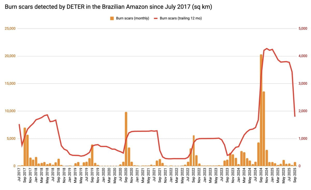 DETER data showing burn scars. Image by Mongabay