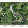 Annual deforestation in the Legal Amazon (Amazonia) from 1988-2025, according to a preliminary estimate from Brazil's national space research institute, INPE.