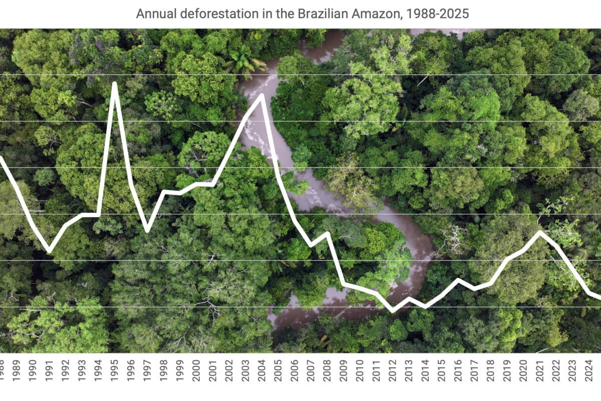 Heading into COP, Brazil’s Amazon deforestation rate is falling. What about fires?