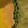 A soy plantation borders native Cerrado vegetation, highlighting pressures on Brazil’s ecosystems and the need for community-led bioeconomy alternatives.