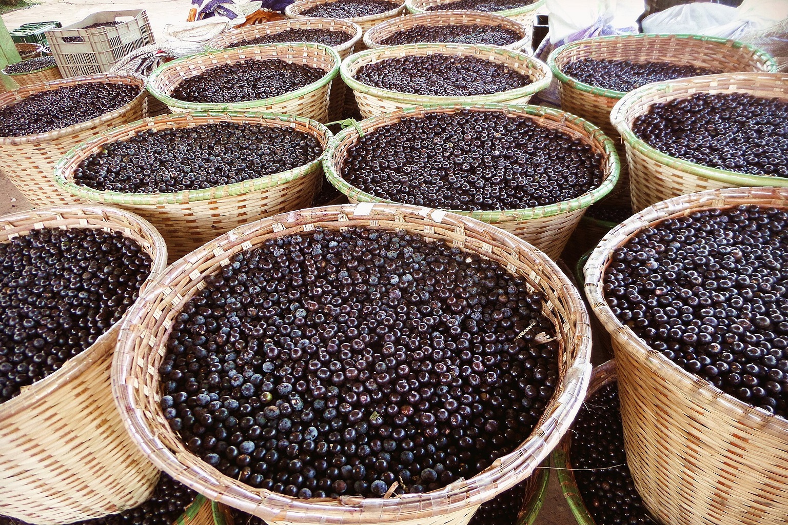 Baskets of açaí at the port of Igarapé-Miri, Pará. This Amazonian fruit sustains the livelihoods of thousands of people in the region.