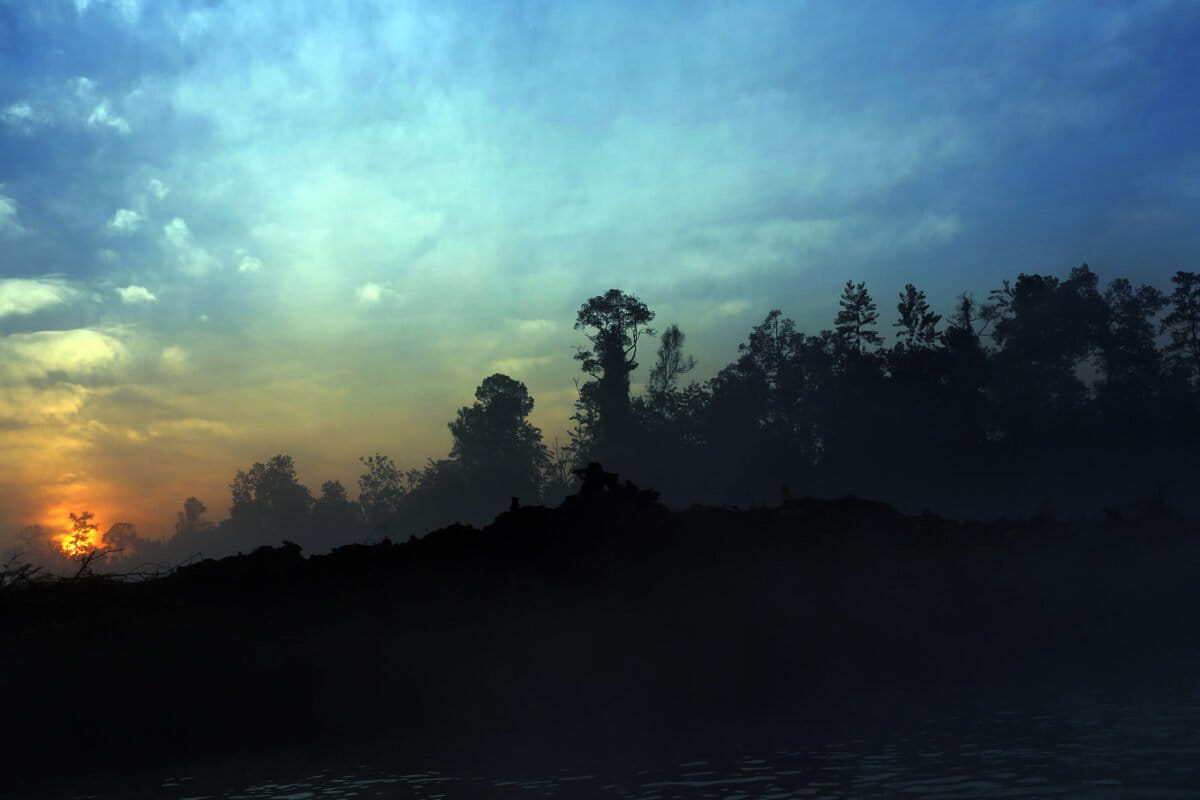 Cleared forest in Riau on the island of Sumatra in Indonesia. Photo by Rhett Ayers Butler.