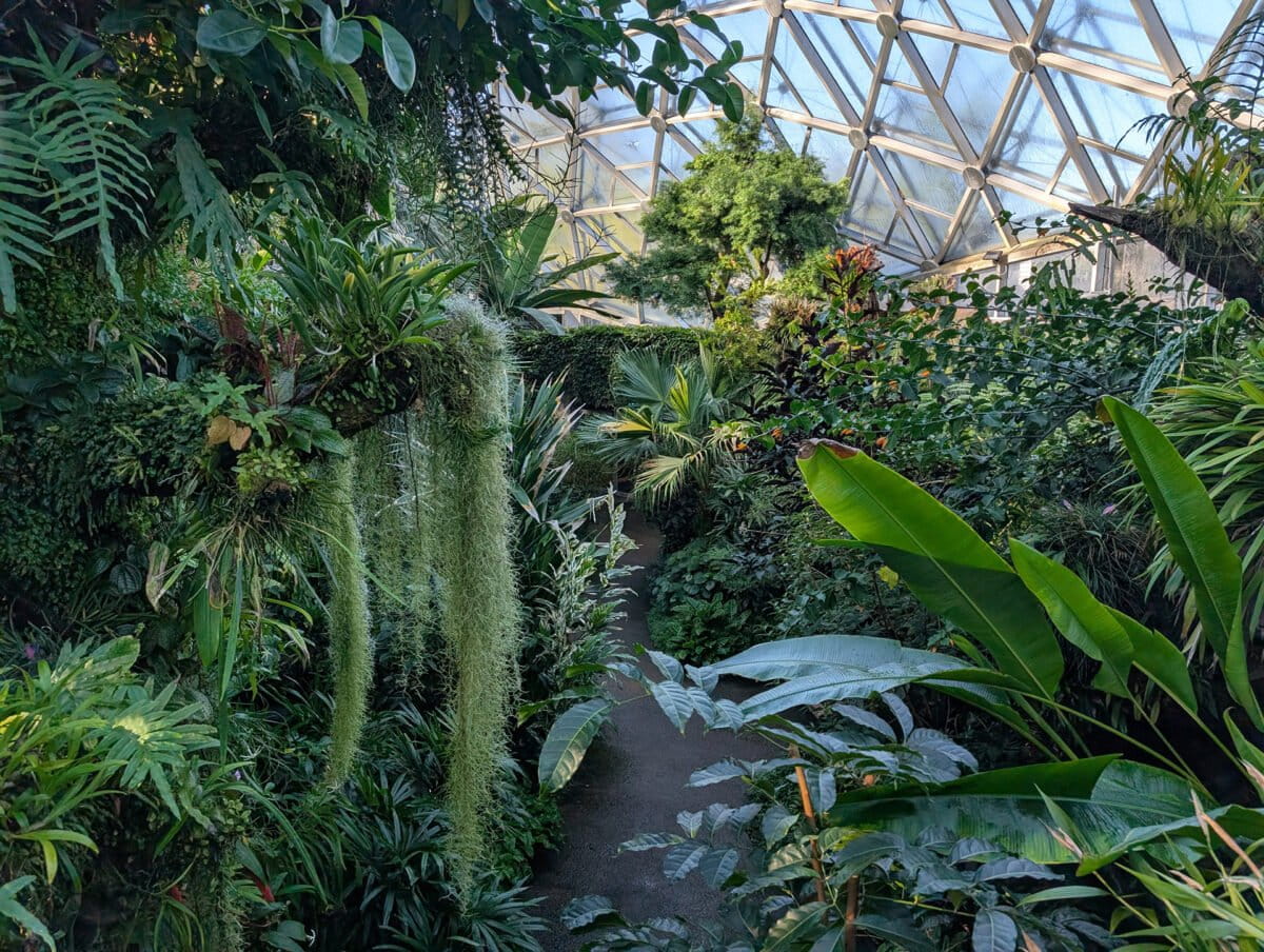 The Climatron at the Missouri Botanical Garden in Saint Louis, Missouri. Photo by Rhett Ayers Butler.