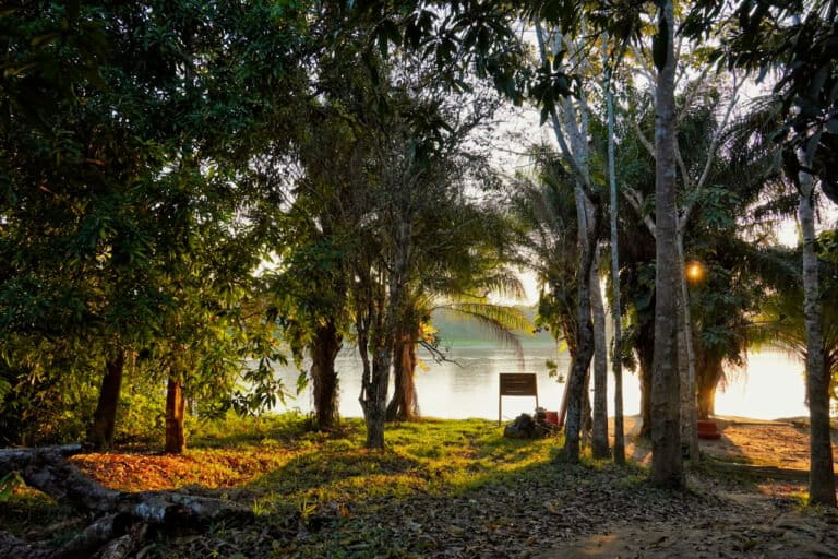 The Puerto Perez Tacana II community, located in the north of La Paz, Bolivia, in the municipality of Ixiamas and in the Madre de Dios River basin. Photo by Indyra Lafuente/Conservación Amazónica ACEAA.