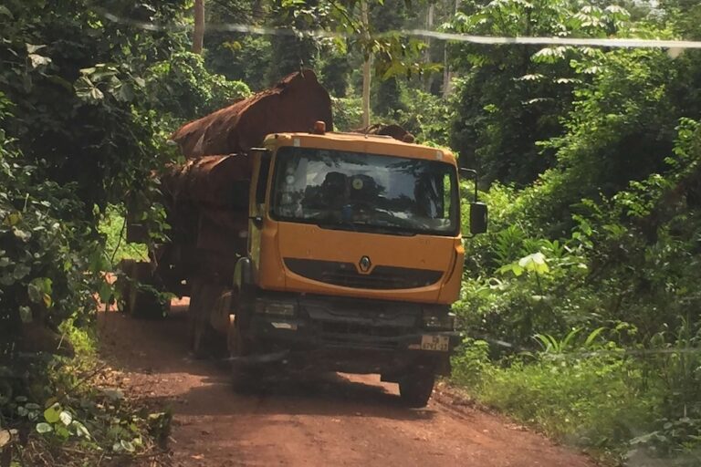 Logging truck leaves the forest in Ghana. Image courtesy of Fern.