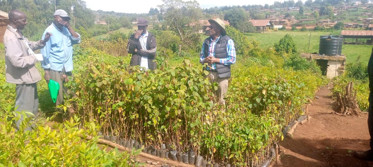 Seedling producers at Maji Mazuri on the outskirts of Karura Forest, Nairobi, Kenya. Image courtesy of Friends of Karura Forest.