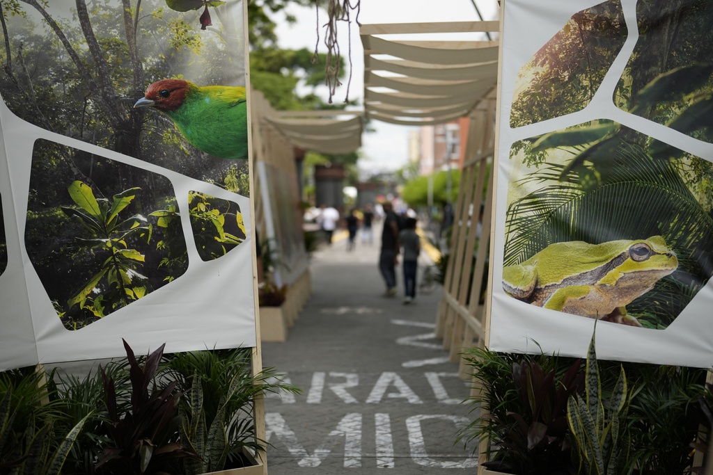 People tour the green zone of COP16, the United Nations Biodiversity Conference, in Cali, Colombia, Oct. 19, 2024. For the third year in a row, more land and environmental defenders were killed in Colombia than in any other country. Image by AP Photo/Fernando Vergara, File.