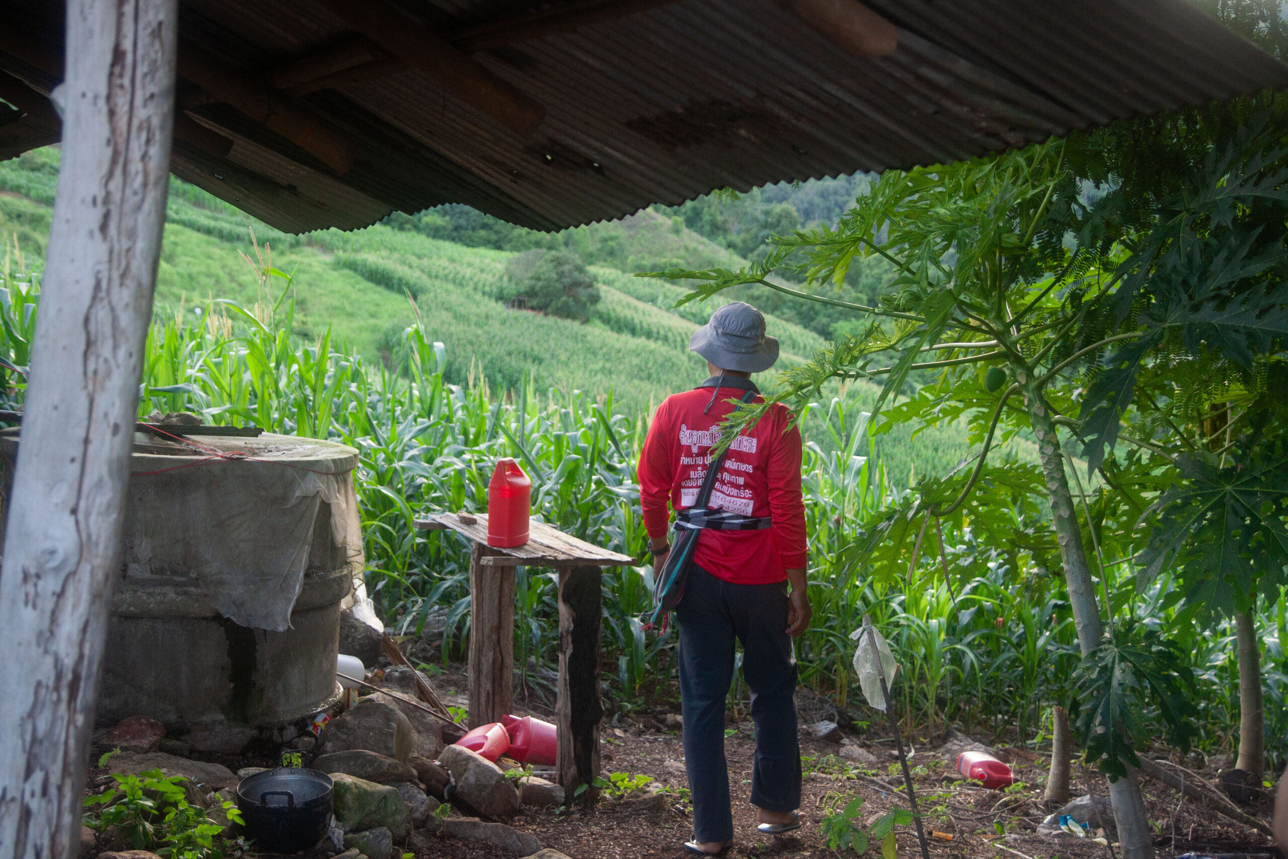 Sprite, a maize farmer in Mae Cham district, told Mongabay that pesticides and burning the fields are the only way for farmers to survive. Image by Gerald Flynn / Mongabay.