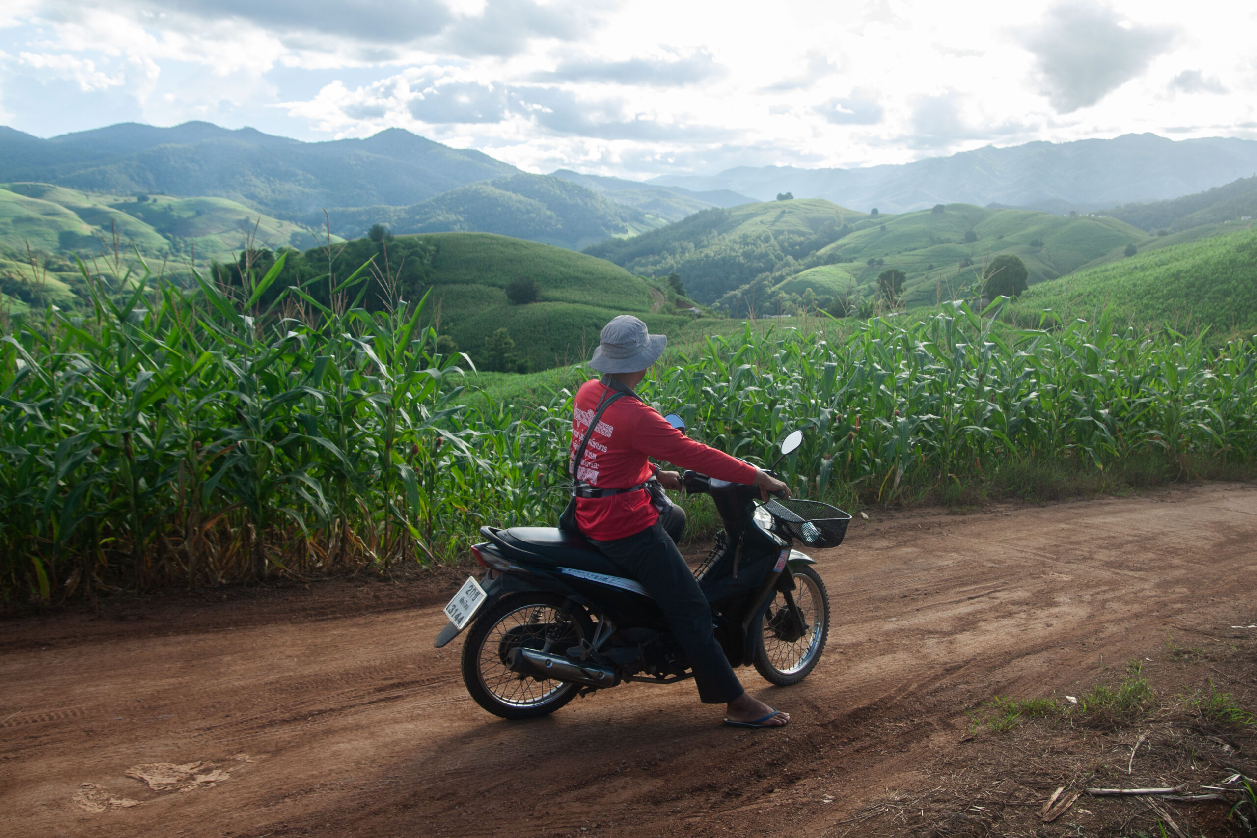 Looking out across the horizon from Sprite's farm, the mountains have all been cleared of forest and replaced with maize. Image by Gerald Flynn / Mongabay.