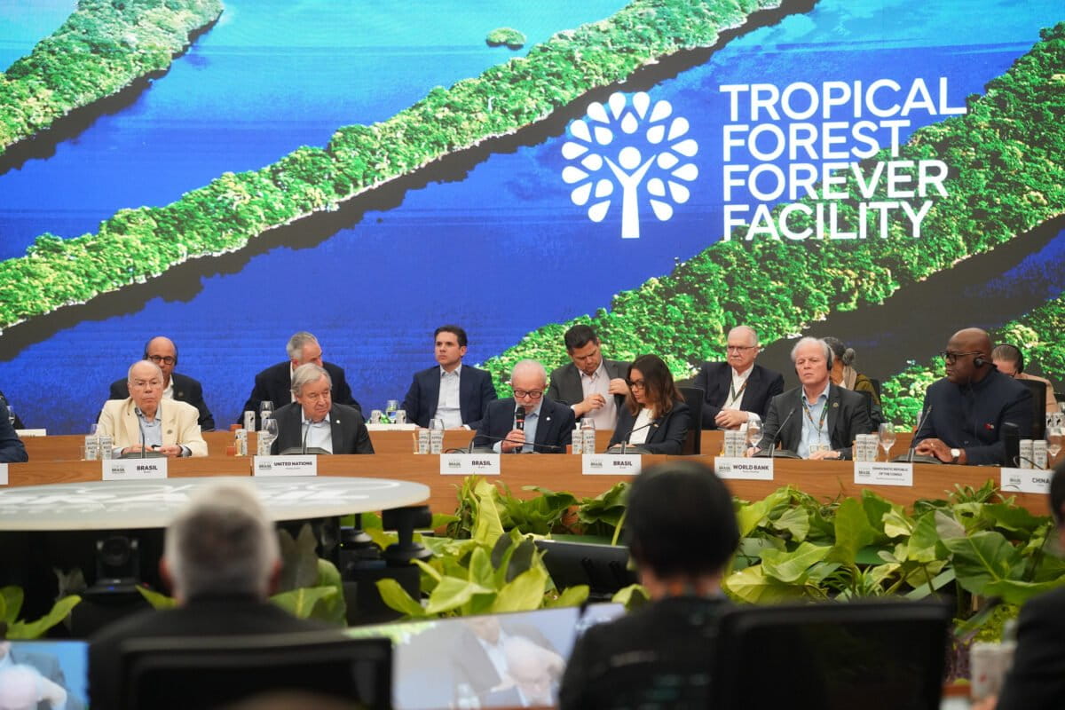 photo of COP30 tropical forest fund may drive debt and deforestation, groups warn image