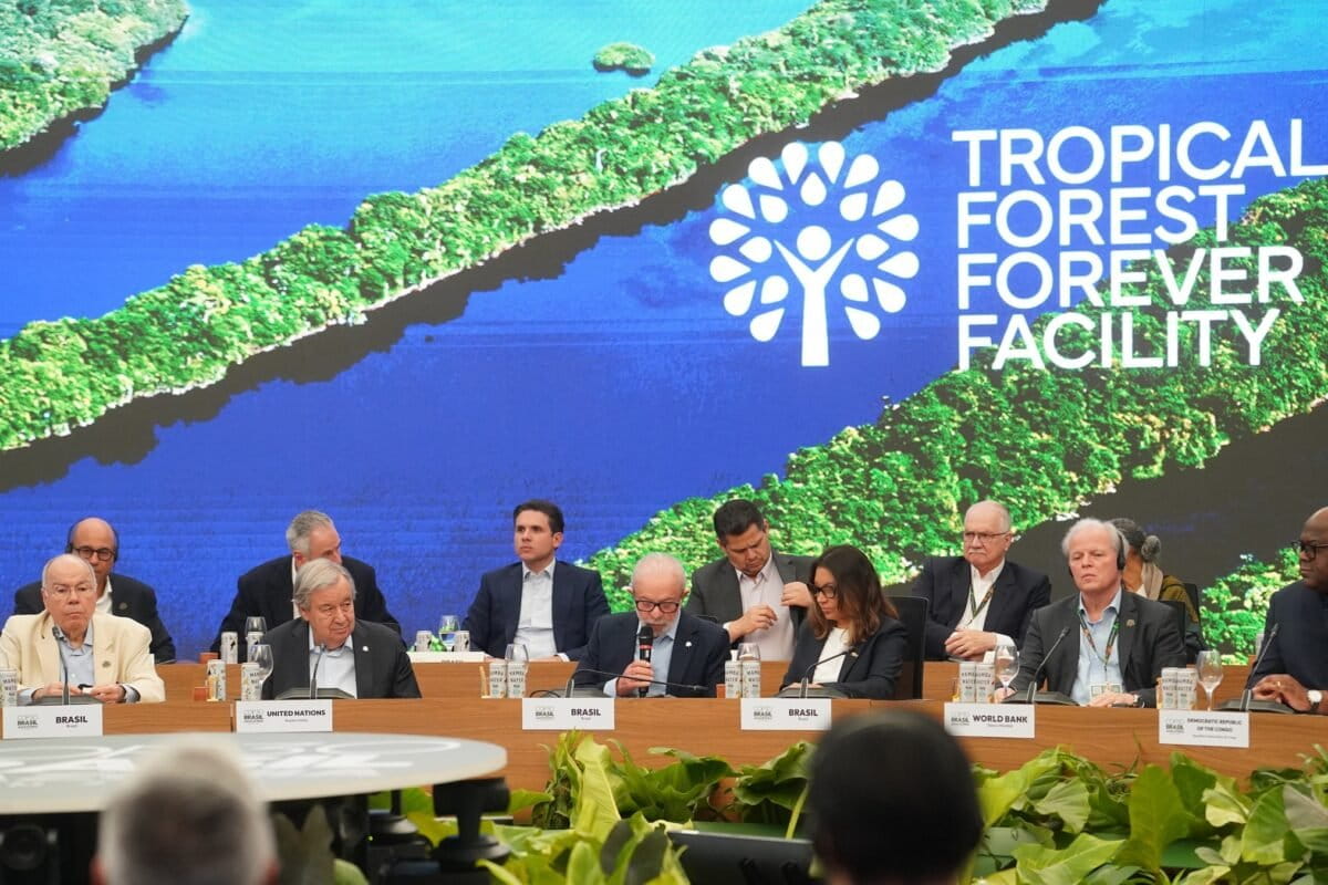 COP30 tropical forest fund may drive debt and deforestation, groups warn COP30 tropical forest fund may drive debt and deforestation, groups warn
