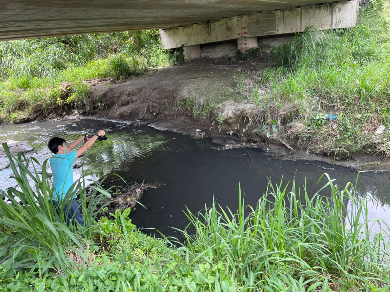 Lee Kwai Han takes photographs of a river leaving a pig farming area in Penang in 2022. The water was dark and the riverbank was lined with sludge. However, while pig farms were reported to cause river pollution in that area, it was unclear whether they were the only source of pollution. In the vicinity are housing, agricultural plots and factories as well. That was the first time she worked with a journalist in an investigation. Image by SL Wong.