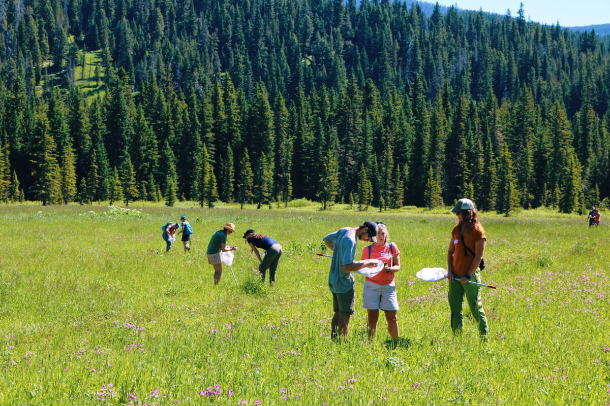 Adventure scientists collecting samples in California.