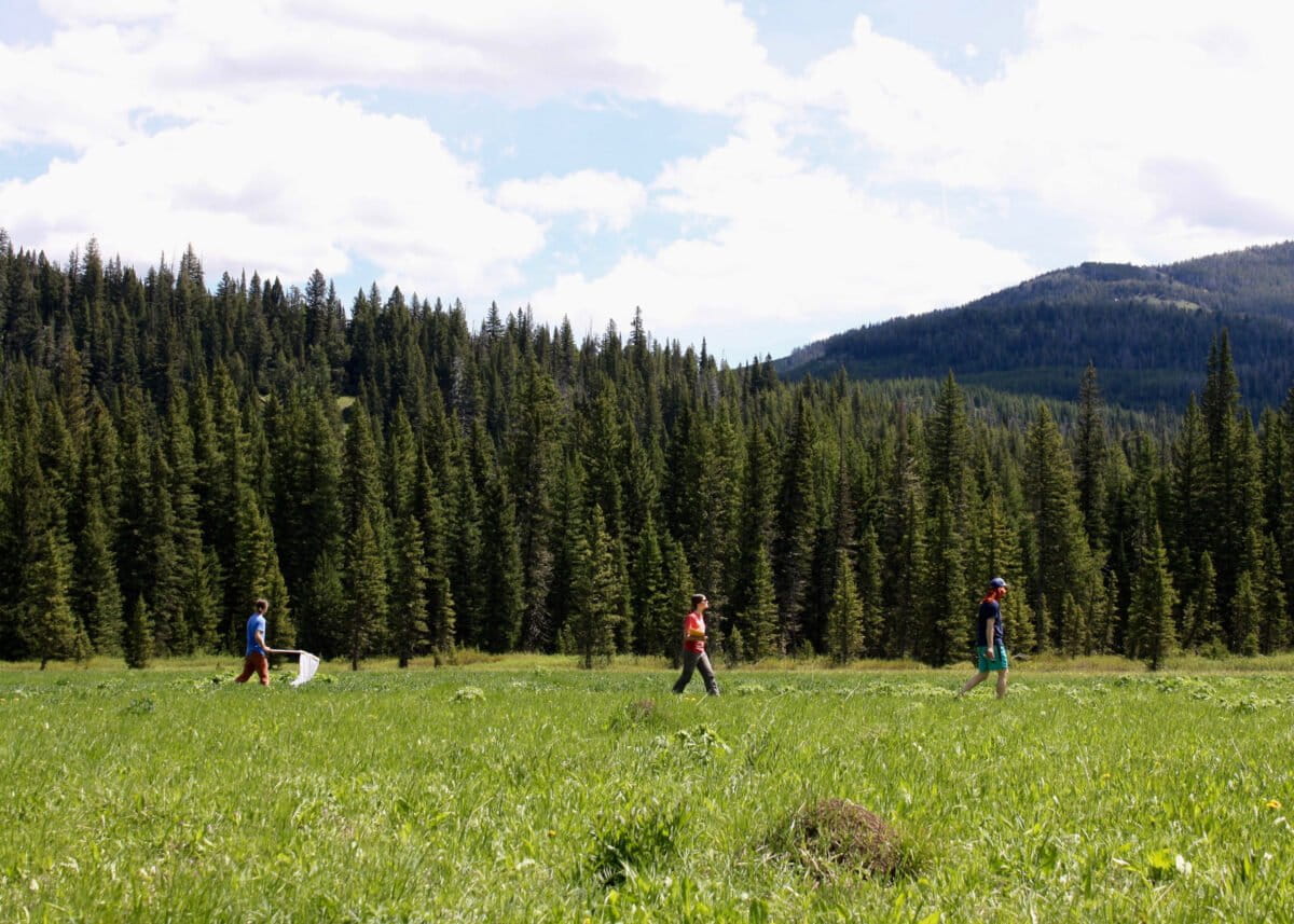 Adventure scientists collecting samples in California.
