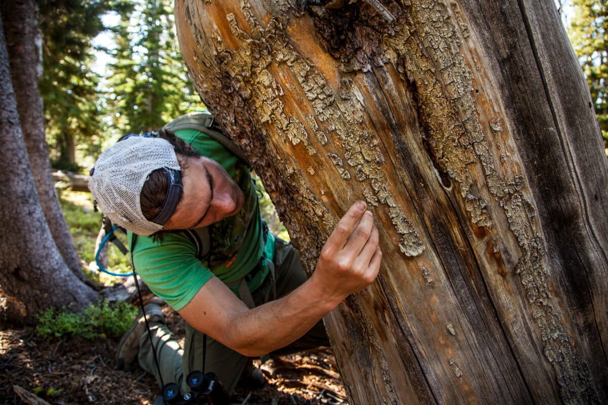 Gregg Treinish in the field. Photo by Alexandria Bombach